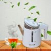 Novena NK50G Cordless Glass Electric Kettle 1.2 Liter | Ideal for Home & Office