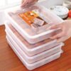 20-Grid Egg Storage Box – Refrigerator Organizer & Dispenser