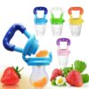 Baby Pacifier Food Feeder Nibbler Silicone Teething Toy