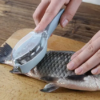 2 Pcs Fish Scale Remover Cleaner – Easy Kitchen Scaler